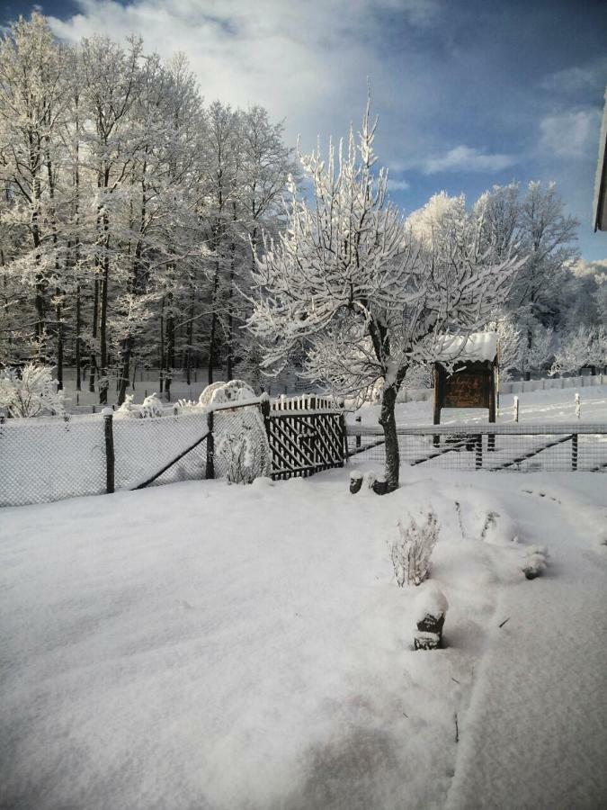 La Locanda Degli Elfi Viggianello Exteriér fotografie