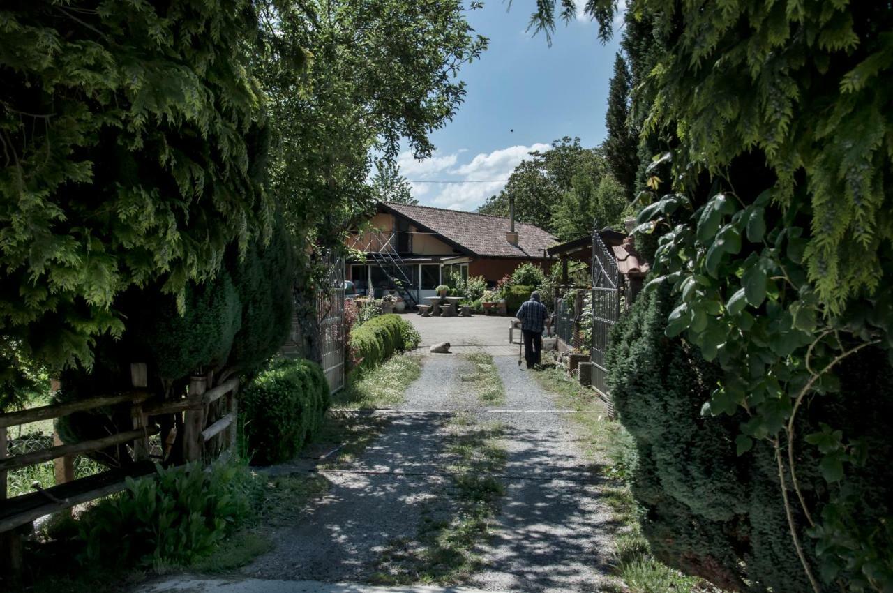 La Locanda Degli Elfi Viggianello Exteriér fotografie